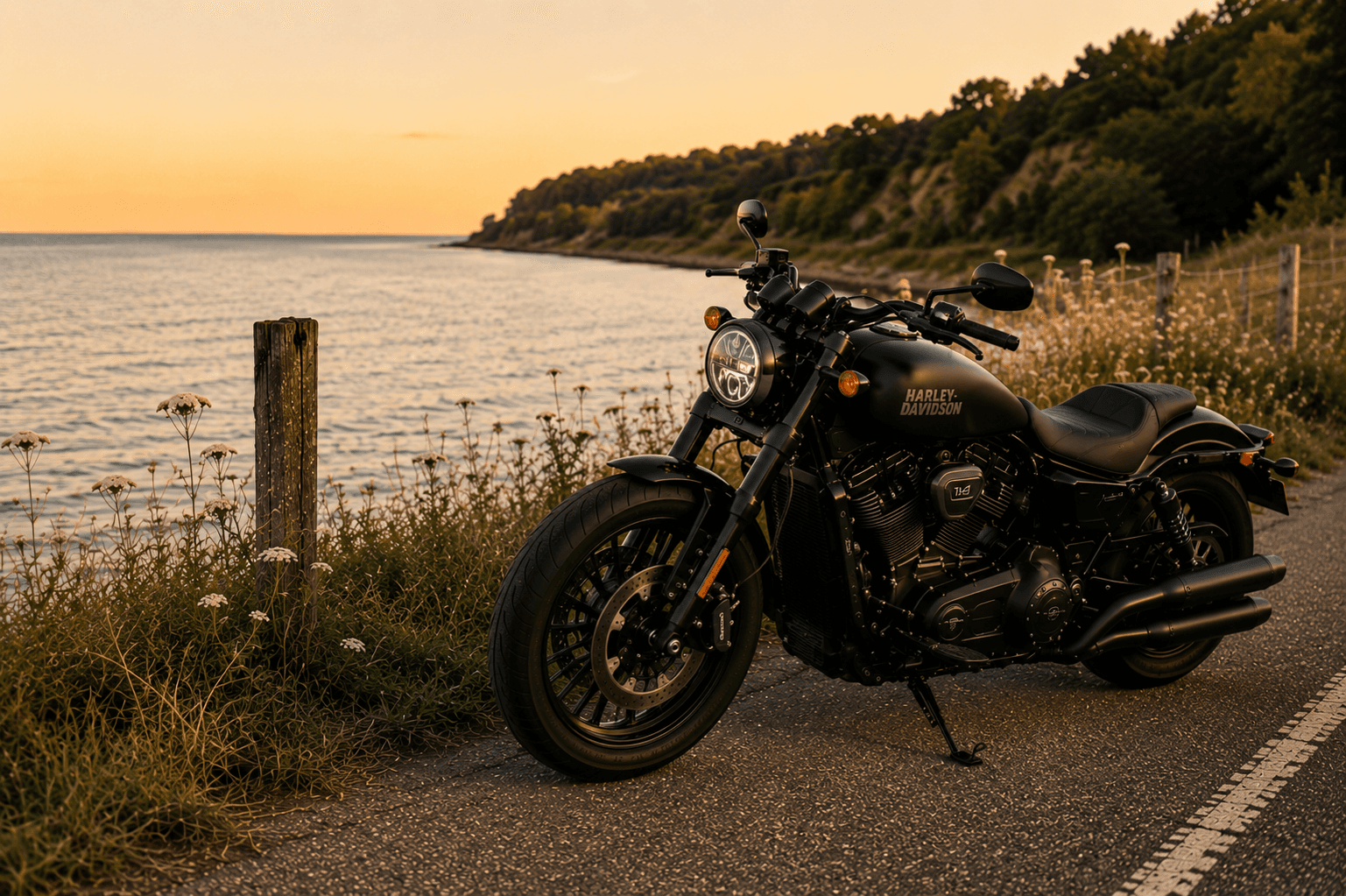 Black Harley-Davidson at the Lake Huron coast in golden hour